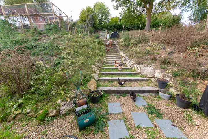 Steps through the garden