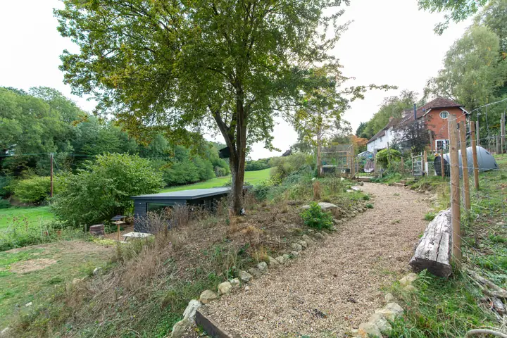Path through the garden